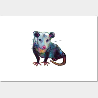 Cute OPOSSUM by Robert Phelps Posters and Art